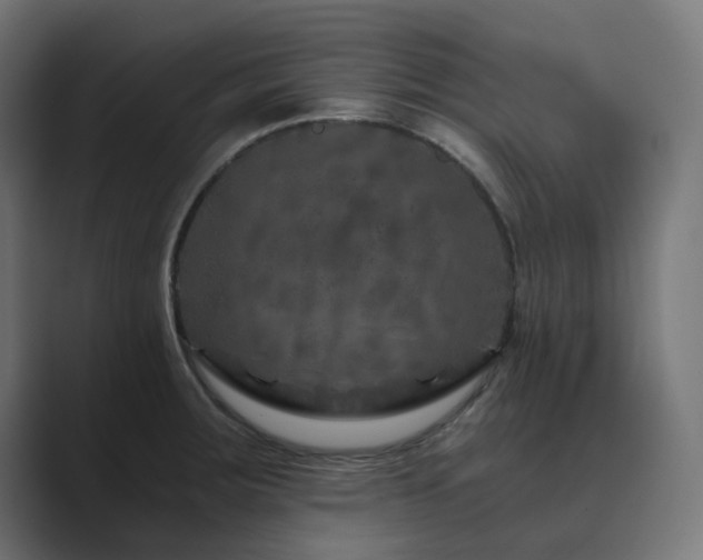 X0000089951283200706291205