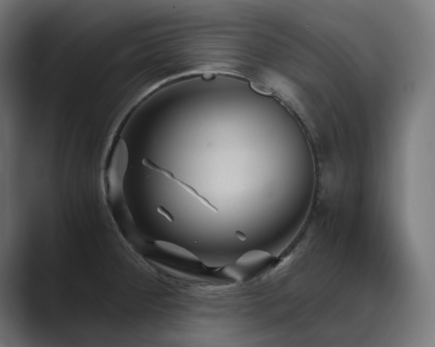 X0000089951284200706291205