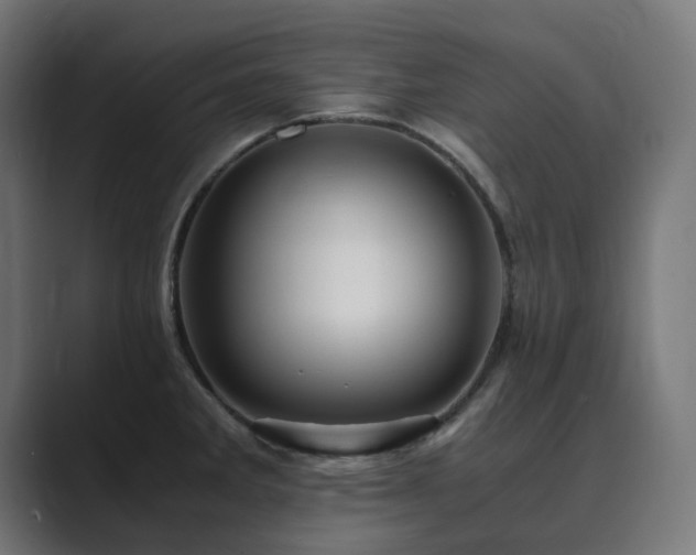 X0000089951285200706291205
