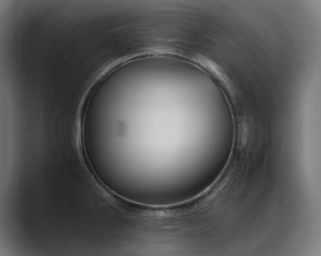 X0000089951286200706291205
