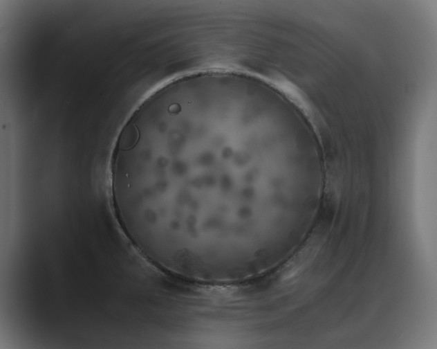 X0000089951287200706291205