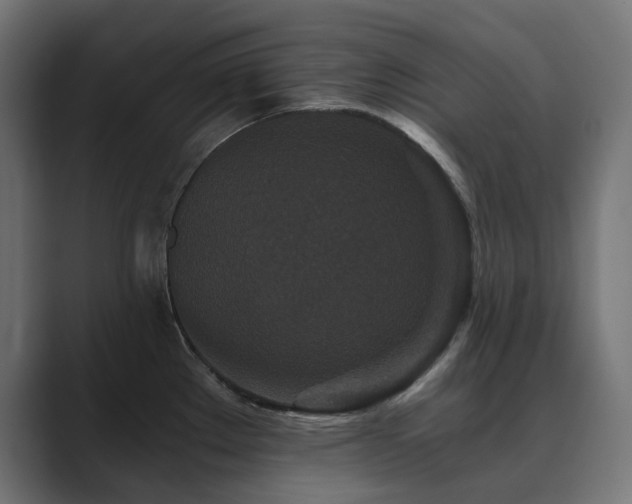 X0000089951289200706291205