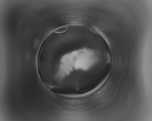 X0000089951291200706291205