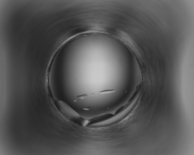 X0000089951292200706291205