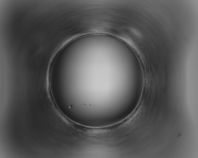 X0000089951294200706291205