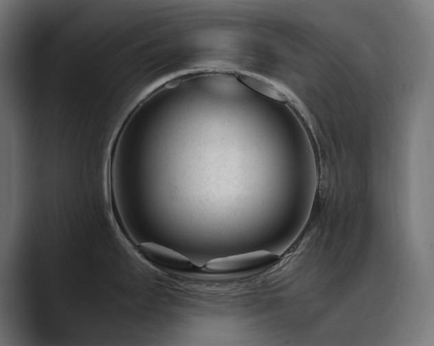 X0000089951295200706291205