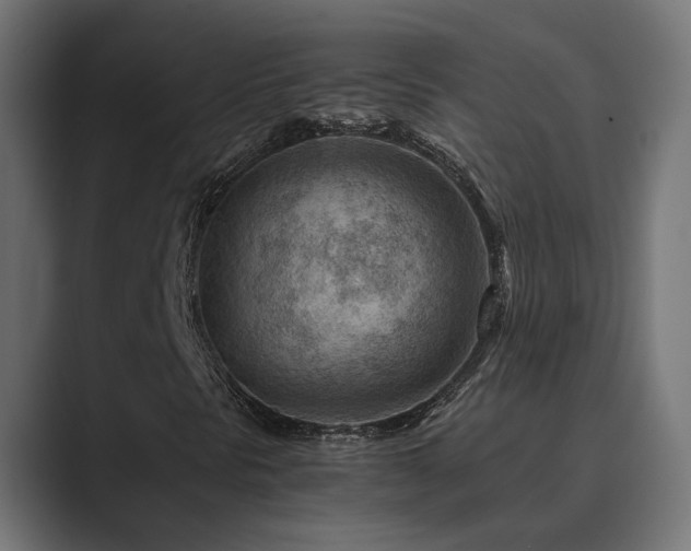 X0000089951297200706291204