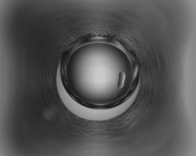 X0000089951298200706291204