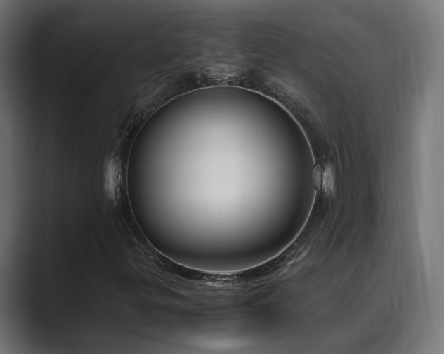 X0000089951299200706291204