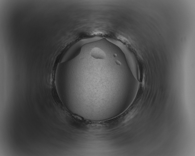 X0000089951300200706291204