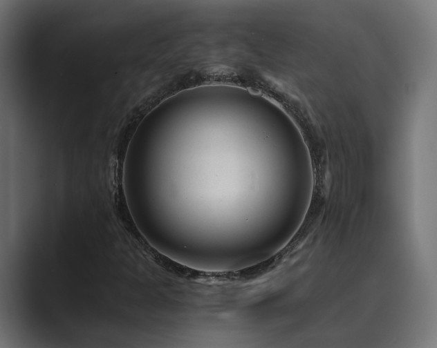 X0000089951301200706291204