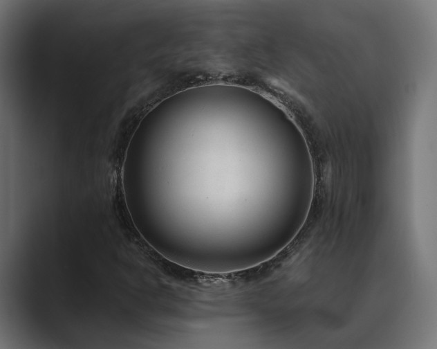 X0000089951302200706291204