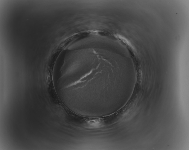 X0000089951303200706291204