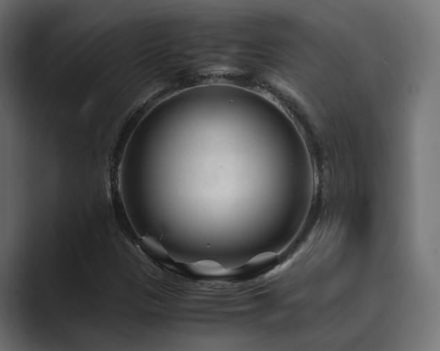 X0000089951305200706291204