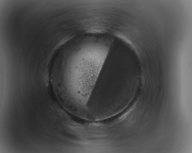 X0000089951306200706291204