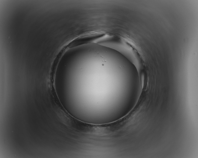 X0000089951308200706291204