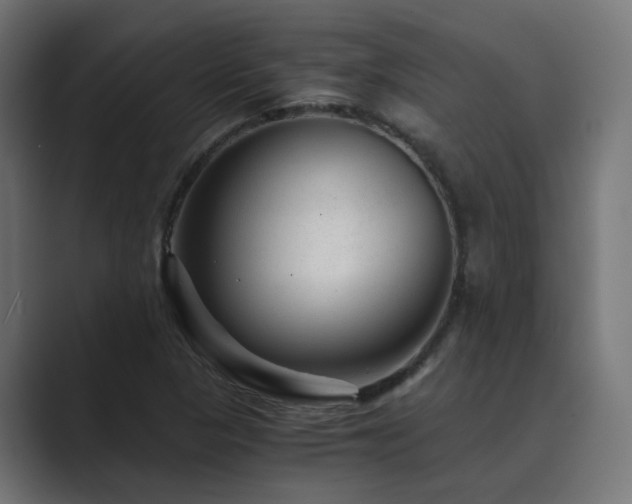 X0000089951313200706291204