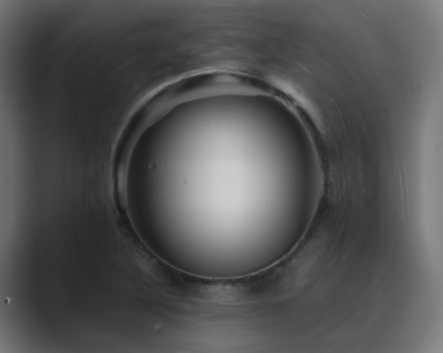 X0000089951316200706291204