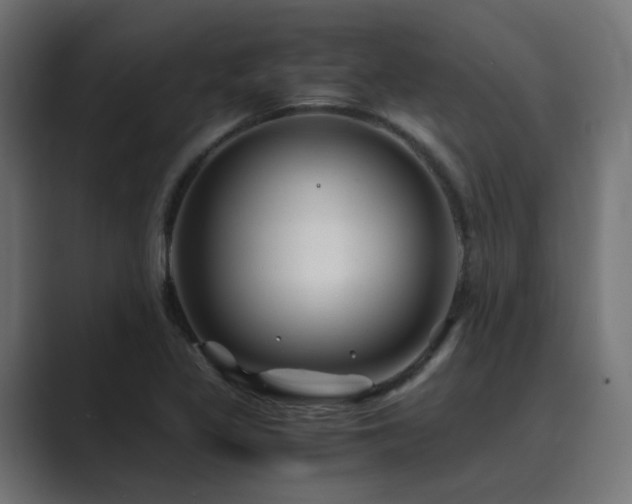 X0000089951317200706291204