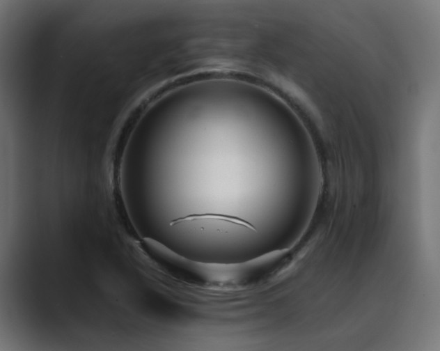 X0000089951318200706291204