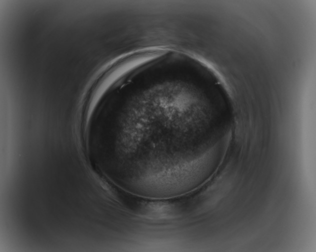 X0000089951319200706291204