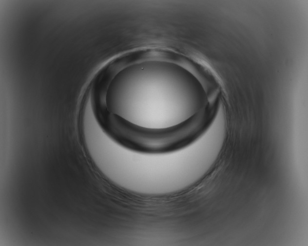 X0000089951320200706291204