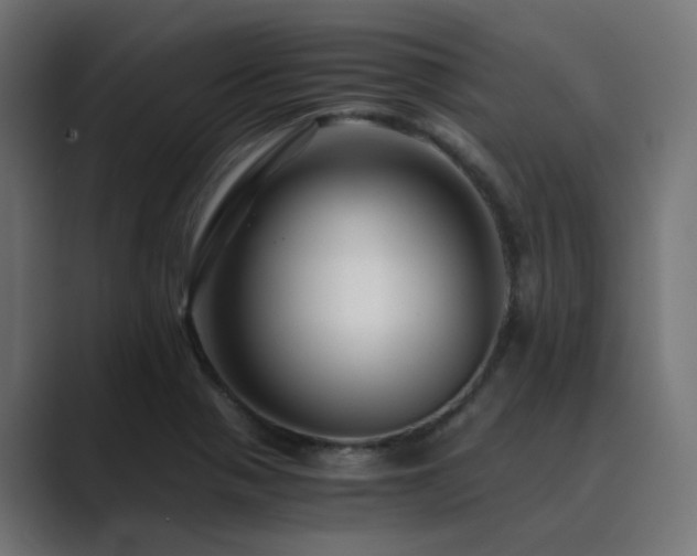 X0000089951321200706291204