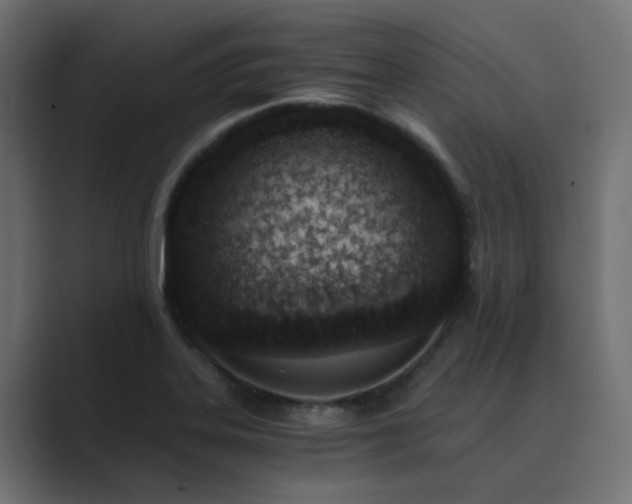 X0000089951323200706291204