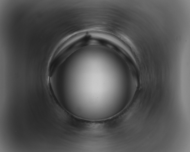 X0000089951324200706291204