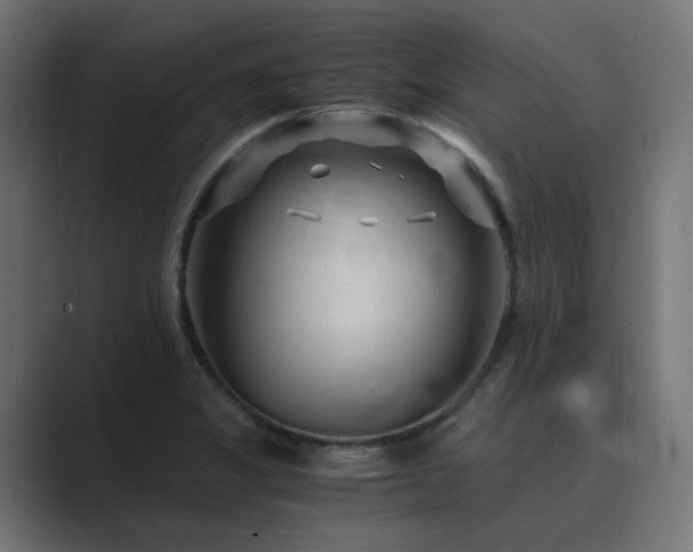 X0000089951325200706291204