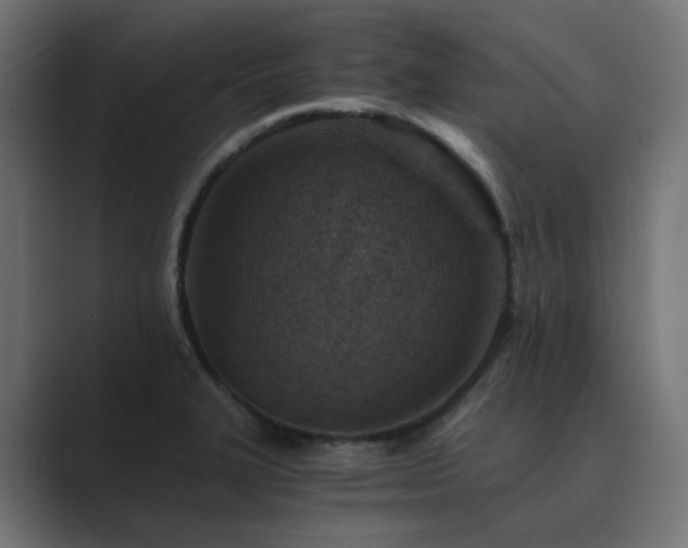 X0000089951327200706291204