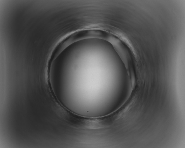 X0000089951328200706291204