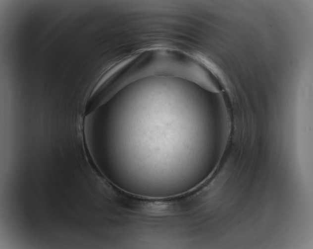 X0000089951329200706291204