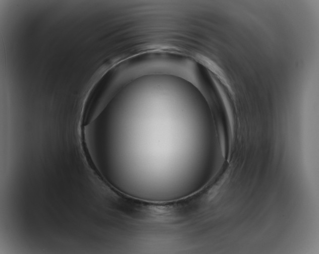 X0000089951330200706291204