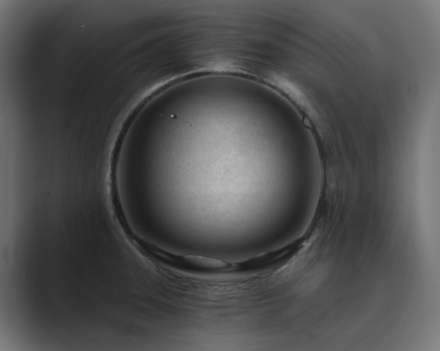 X0000089951331200706291204