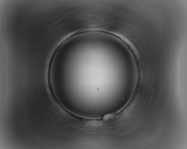 X0000089951333200706291204