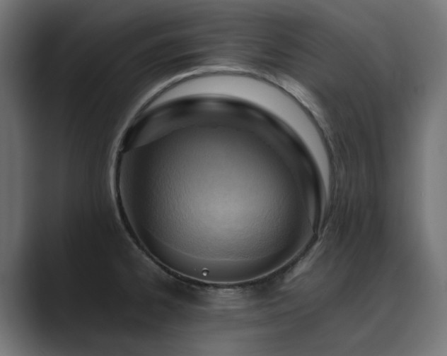X0000089951334200706291204