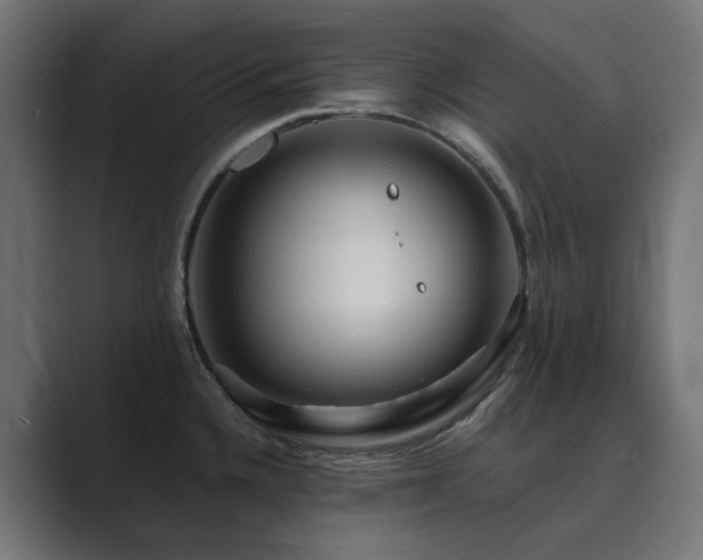 X0000089951336200706291204