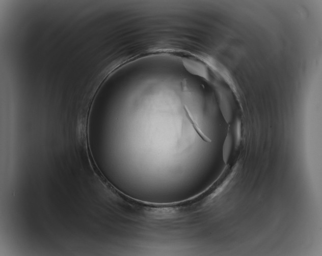 X0000089951337200706291204