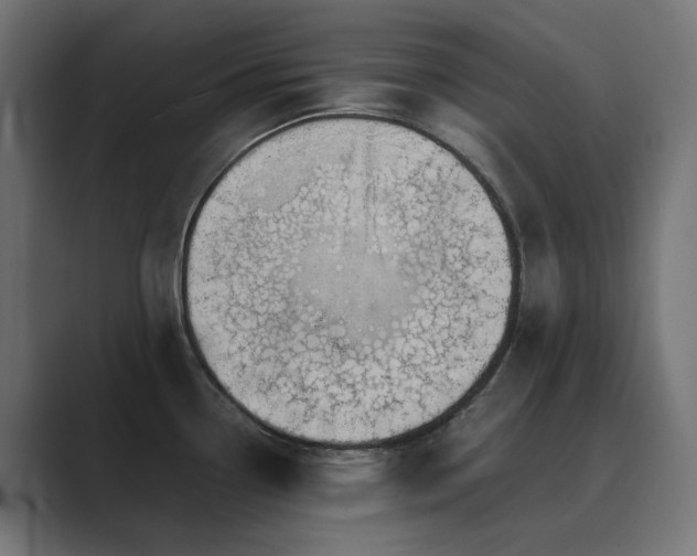 X0000089951338200706291204