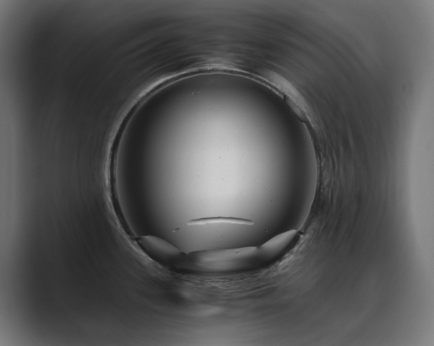 X0000089951339200706291204