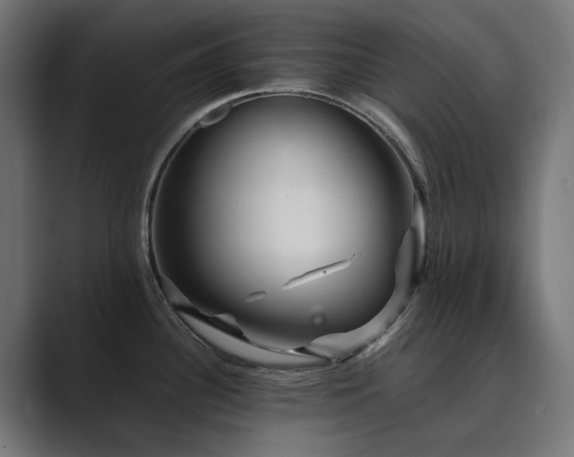 X0000089951340200706291204