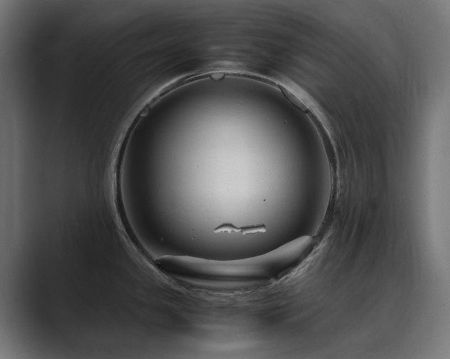 X0000089951341200706291205
