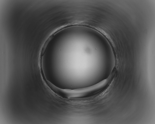 X0000089951342200706291205