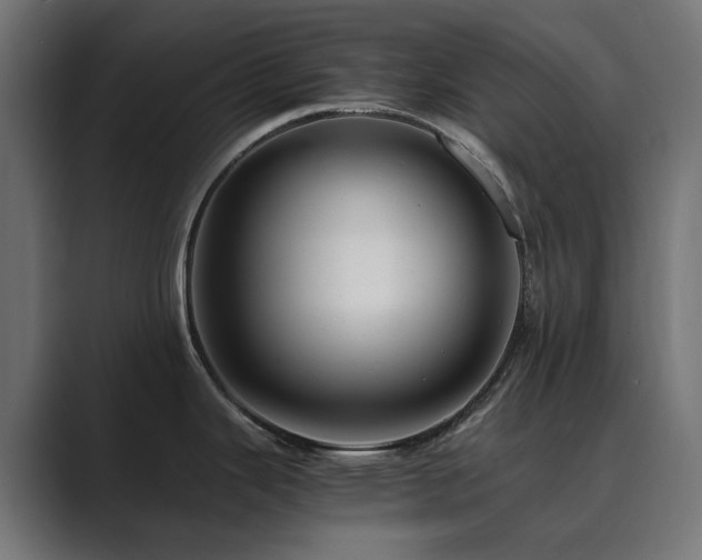 X0000089951343200706291205