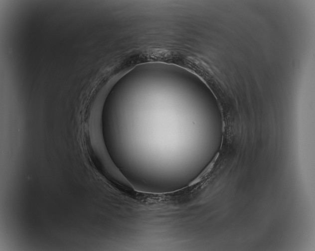 X0000089951345200706291204