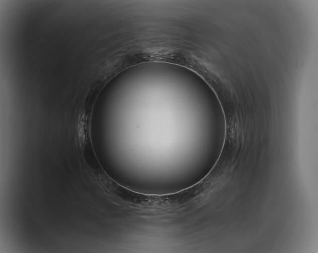 X0000089951346200706291204