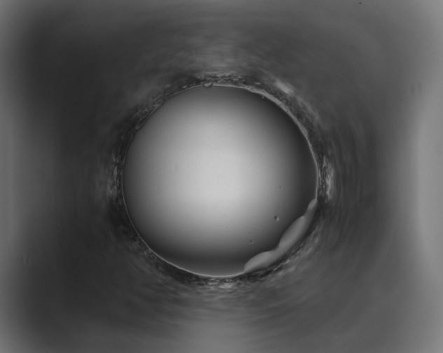 X0000089951350200706291204