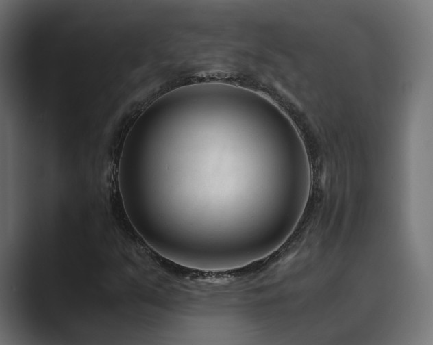 X0000089951351200706291204