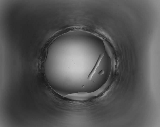 X0000089951352200706291204